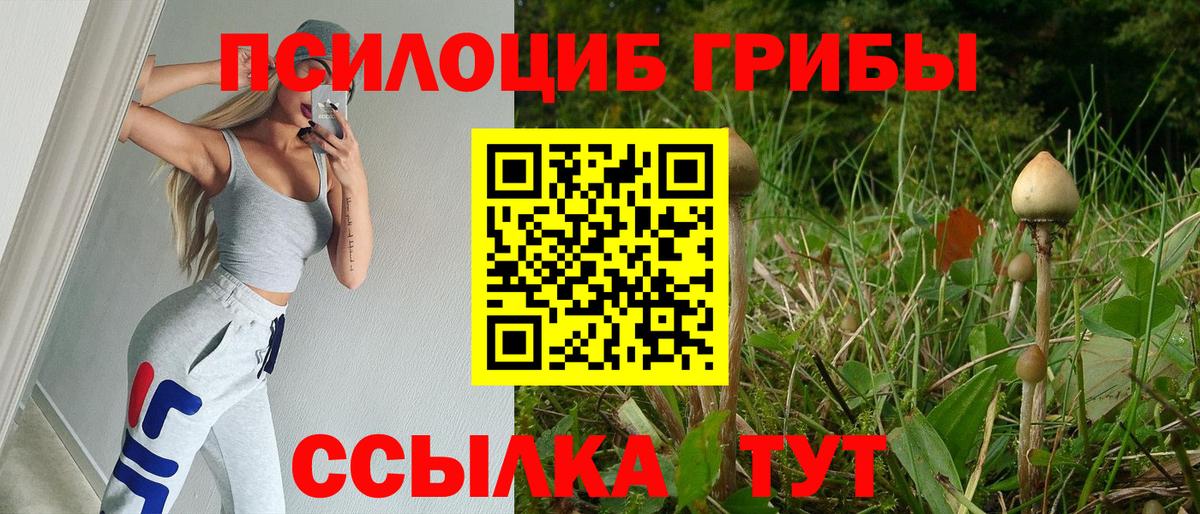 Галлюциногенные грибы Cubensis Старый Оскол